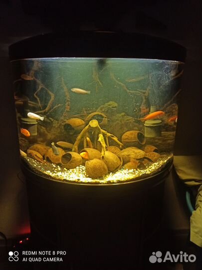 Аквариум. jebo R790