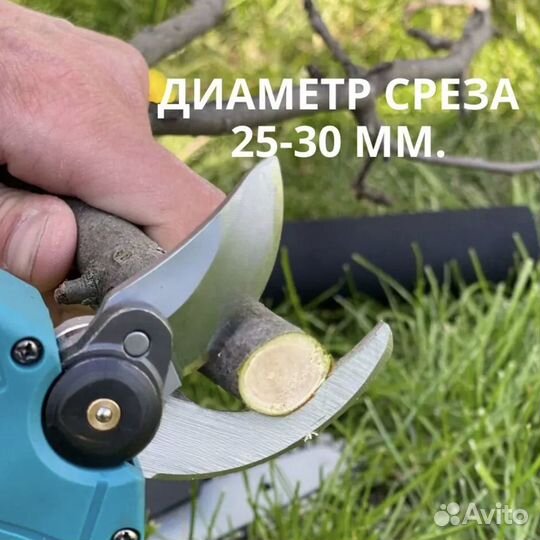 Набор Пила аккумуляторная цепная и секатор 48V