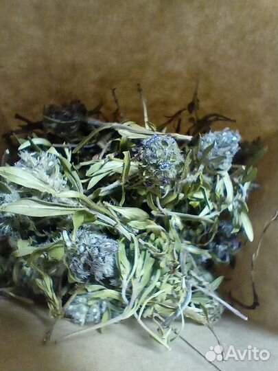 Чабрец сушеный