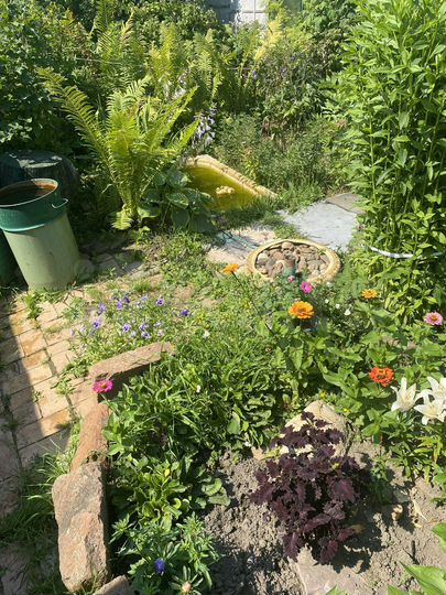 Участок 4 сот. (СНТ, ДНП)