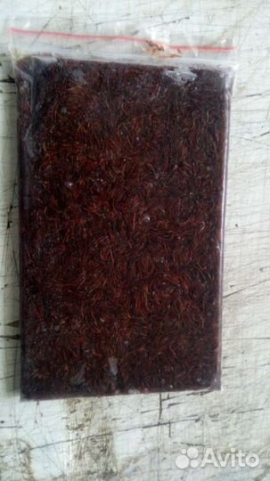 Мотыль мелкий свежемороженный за кг