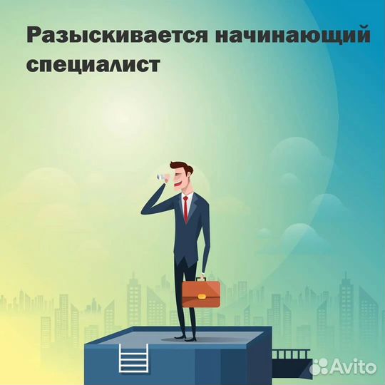 Начинающий специалист в IT компанию