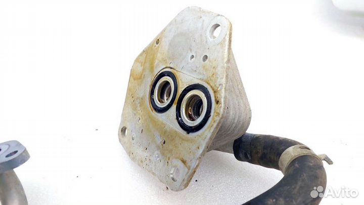 Радиатор масляный Toyota Rav4 50 M20afks 2021