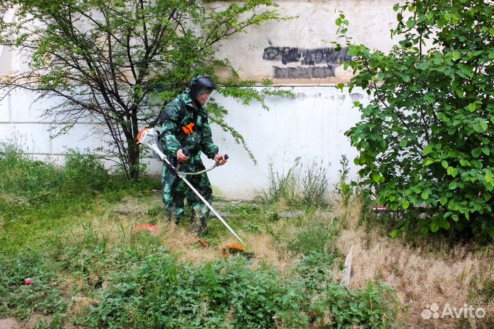 Услуги Обрезка деревьев,покоса травы