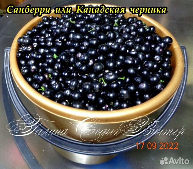 Варенье из Санберри