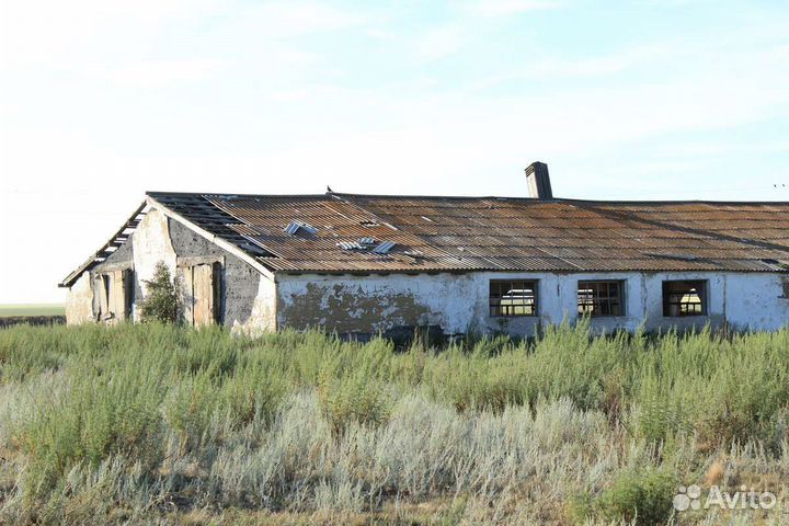 Выкуп ферм на разбор Чувашия