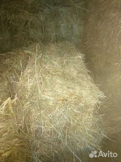Сено в тюках