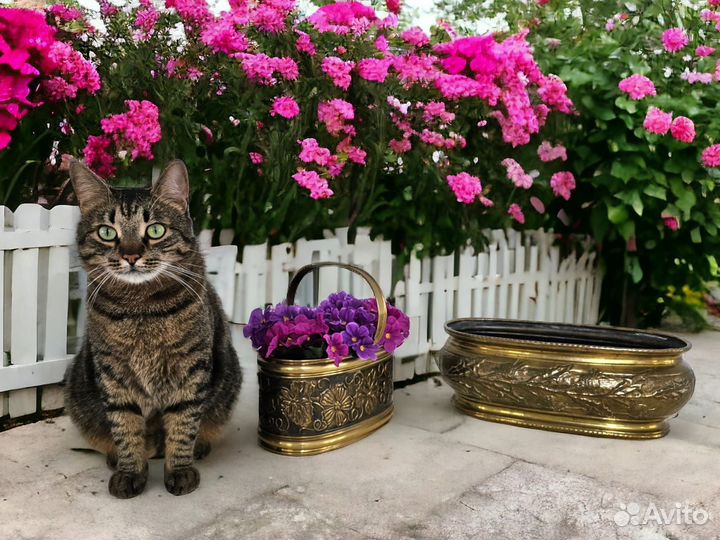 Винтажные кашпо