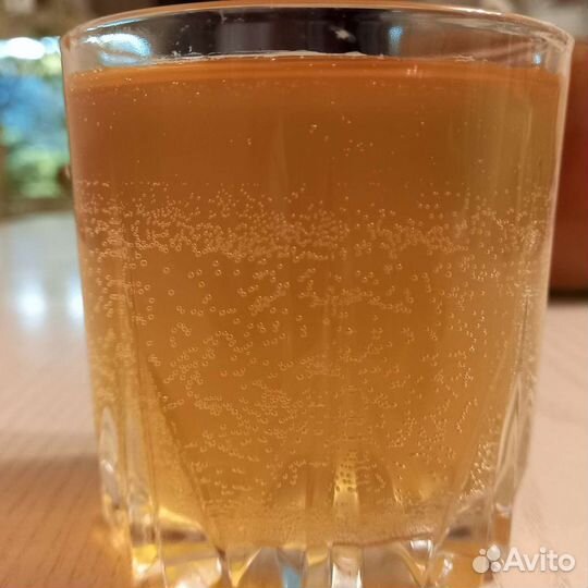 Чайный гриб, винный гриб, закваска для хлеба