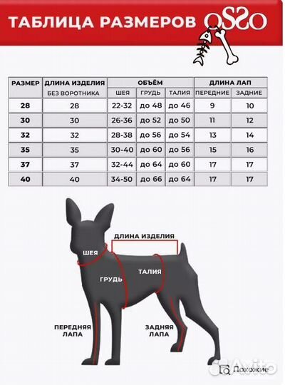 Комбинезон для собаки мальчика