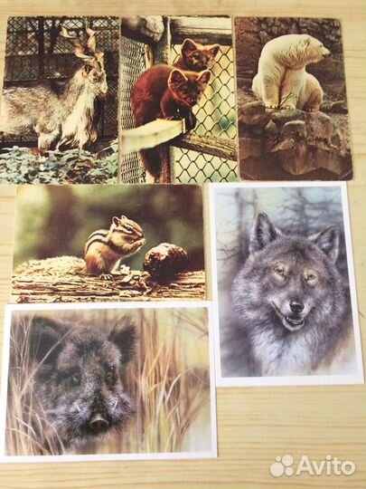 Открытки, наборы 50-80-х гг