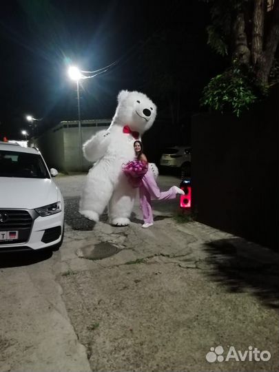 Белый медведь/Большой белый мишка/аниматор
