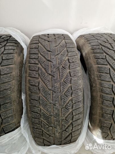 Tigar Winter 215/50 R17 95V