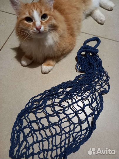 Авоська СССР