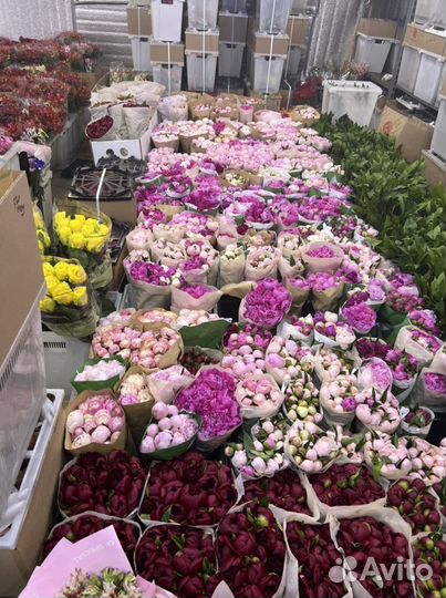 Пионы и васильки