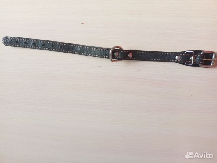 Ошейник для собак