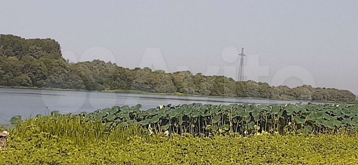 Дом 41,3 м² на участке 11 сот.