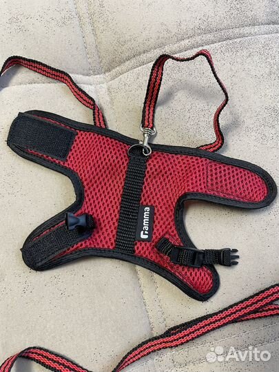 Шлейка поводок для крысы