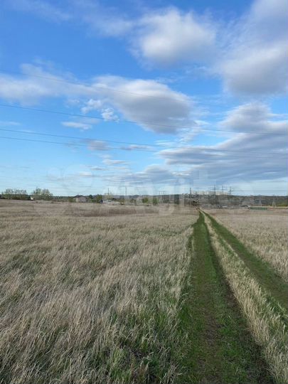 Участок 12,5 сот. (СНТ, ДНП)