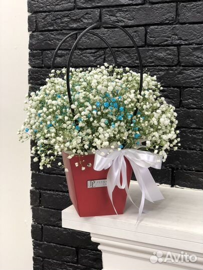 Гипсофила в коробке