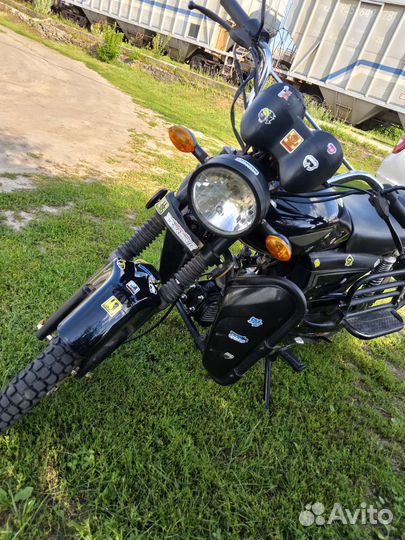 Альфа охотник