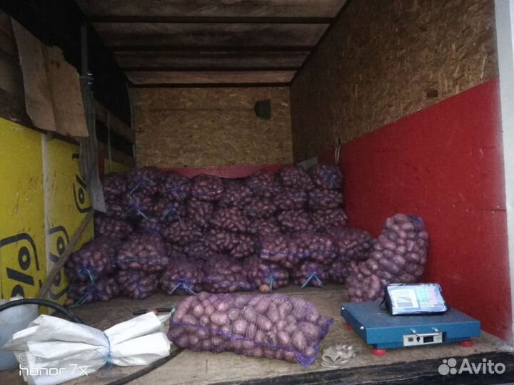 Продам картофель