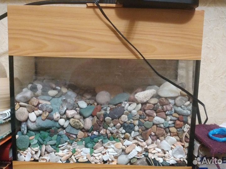 Аквариум с камушками