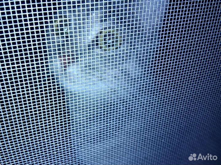 Отдам кошечку в добрые руки