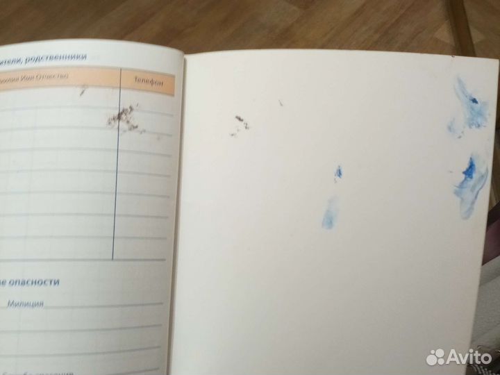 Школьный дневник