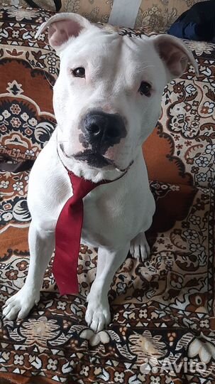 Кабель для вязки