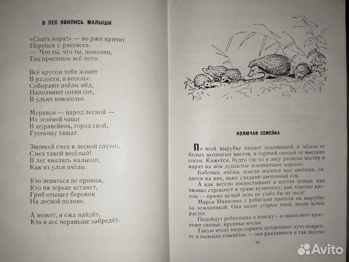 За лесной завесой Г. Скребицкий Детгиз