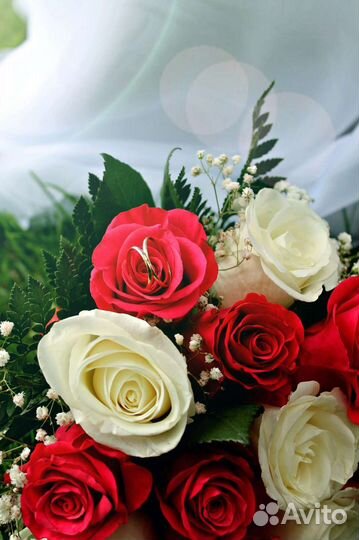 Детский и семейный фотограф