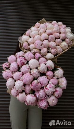 Букеты из Пионов 51 101 Пион с доставкой