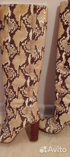 Сапоги кожаные питон Carlo Pazolini