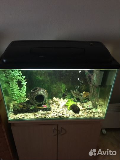 Аквариум