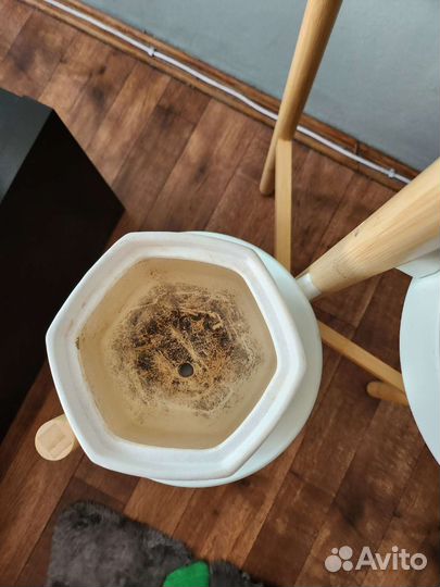 Горшки цветочные