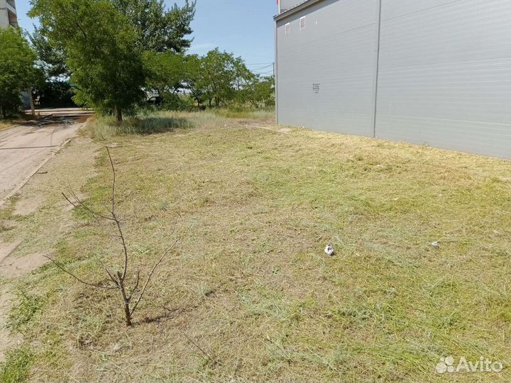 Покос травы триммером Вспашка земли мотоблок