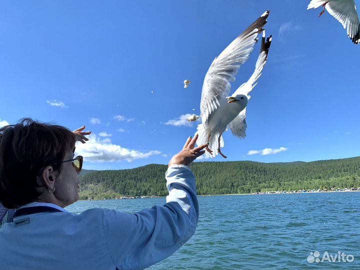 Летние туры на Байкал 2024