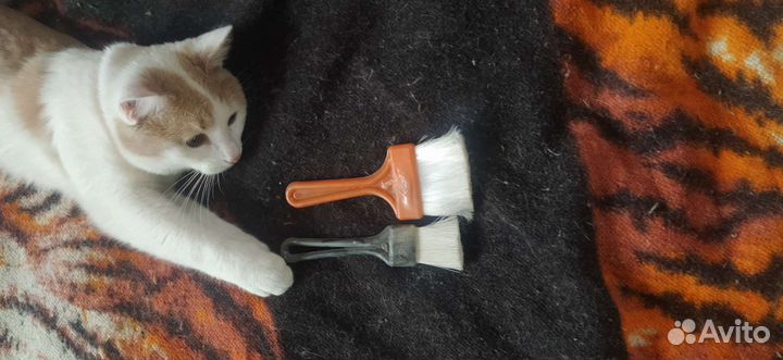 Кисточки СССР