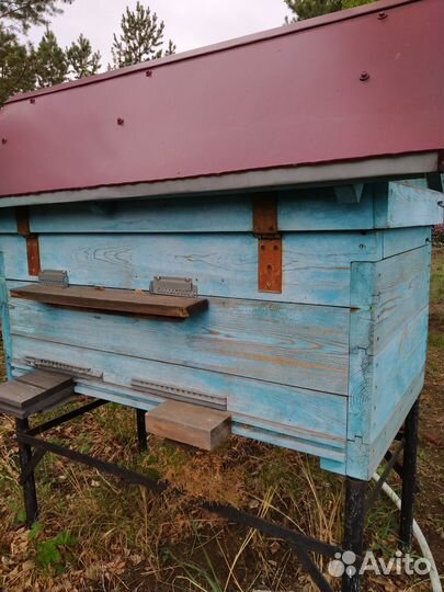 Улей лежак на 24 стандартные рамки Дадан