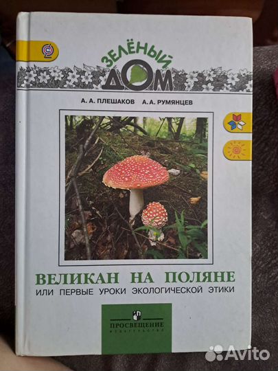 Великан на поляне А.А Плешаков, А.А.Румянцев 2012