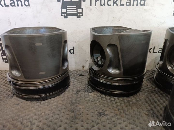 Поршень Man Tgx