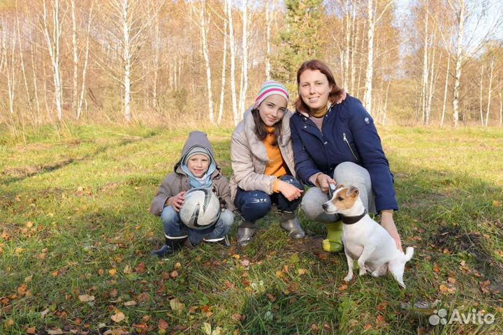 Выгул собак. Передержка собак, кошек, птиц, грызун