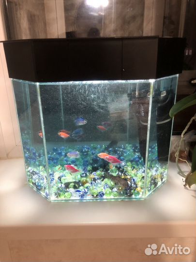 Аквариум