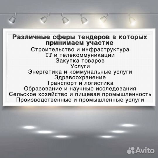 Тендерное сопровождение, Участие в госзакупках