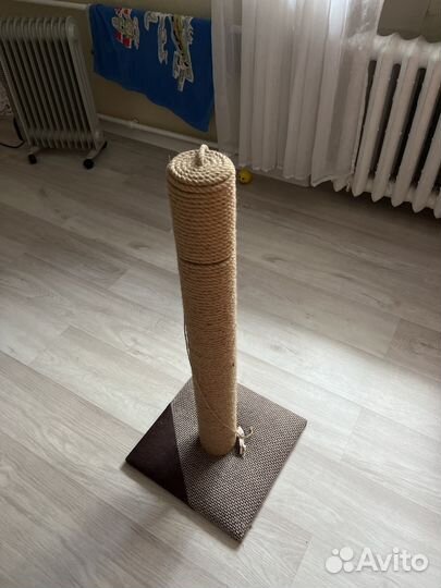 Когтеточка