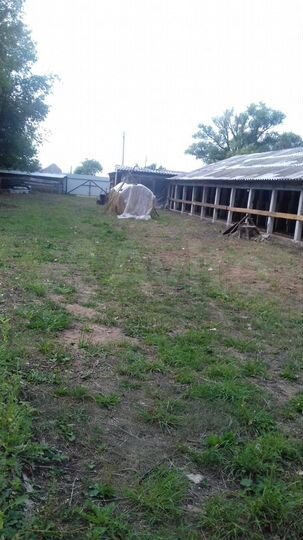 Дом 70 м² на участке 40 сот.