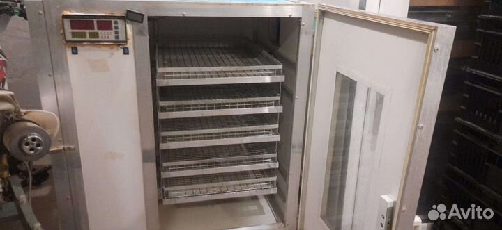 Инкубатор на 630 яиц автоматический бу
