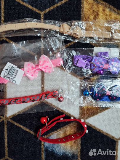 Новые толстовки, ошейники для кошек, и собак