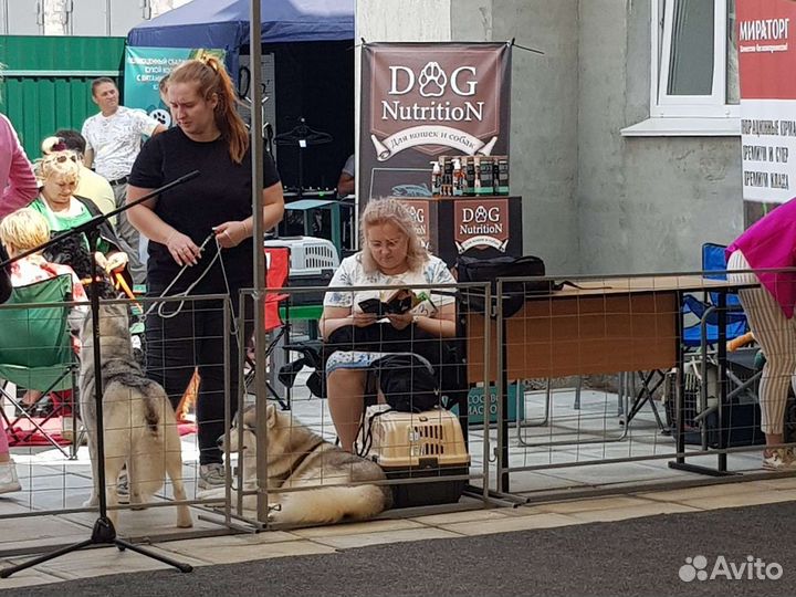 Лососевое масло 150 мл 200 мл